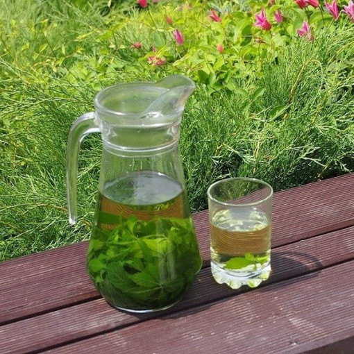 Kräuter der Langlebigkeit - Jiaogulan Gynostemma P9/C1