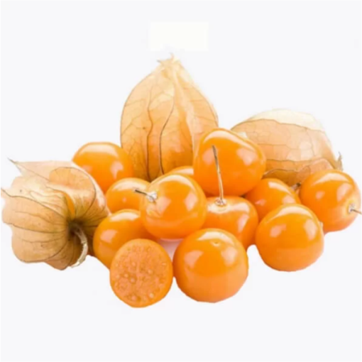 Physalis (Lampionpflanze / Andenbeere) C2