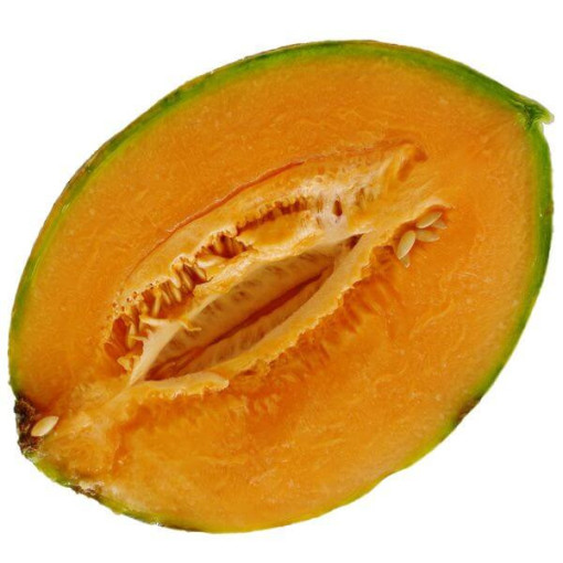 Charentais Melone