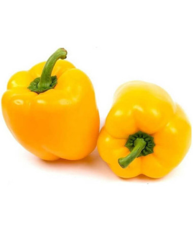 Paprika TELIMENA