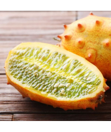 Gurke 'Afrikanisches Kiwano' P9/C1