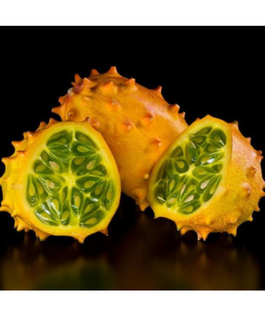 Gurke 'Afrikanisches Kiwano' P9/C1