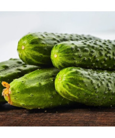 Gurke 'Śremski'