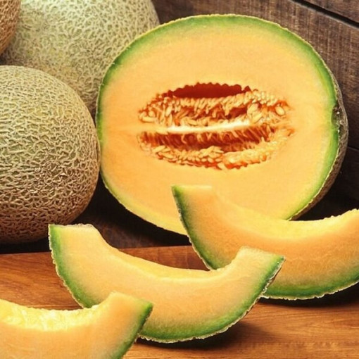 Melone 'Seledyn' P9/C1